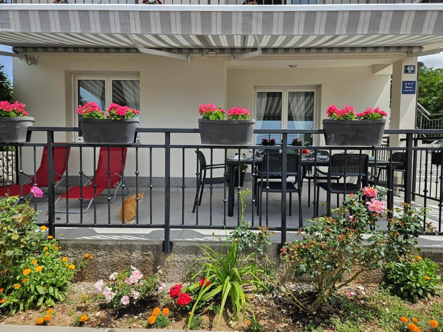 Apartment Belvedere *